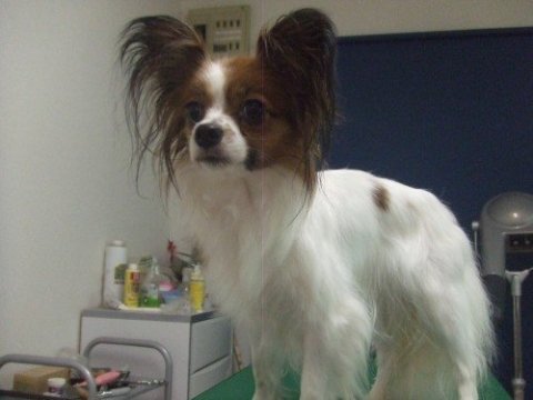 画像