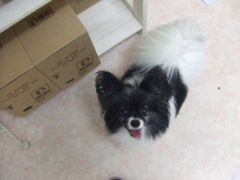 画像