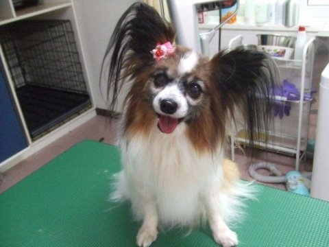 画像
