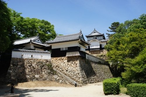 画像