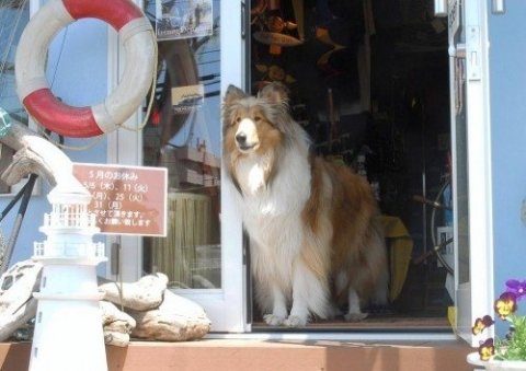 画像