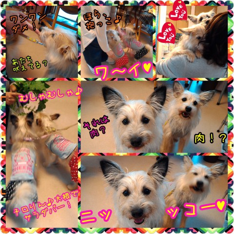 画像