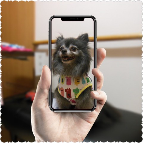 画像