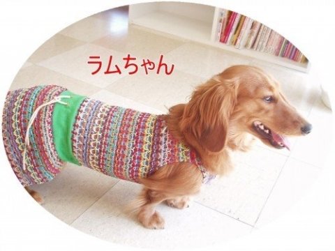 画像