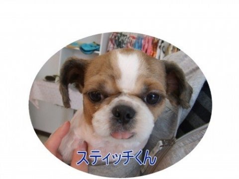 画像