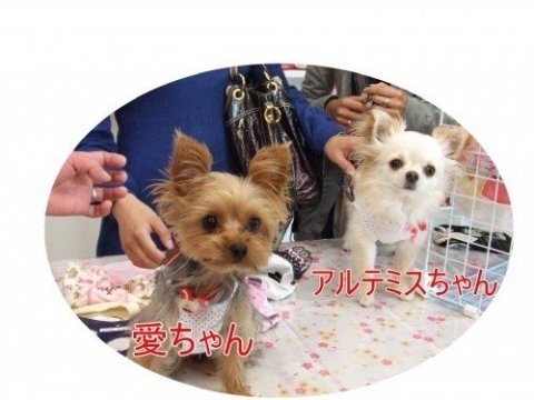 画像