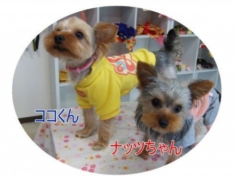 画像