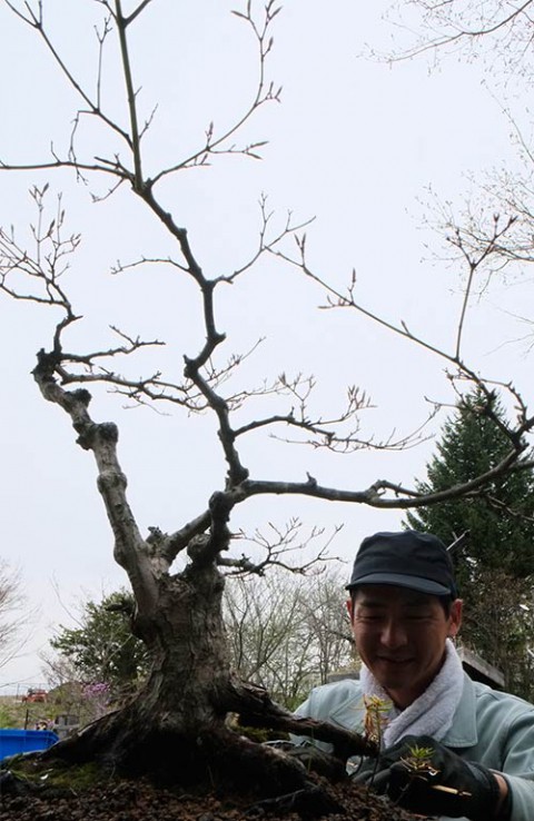 画像