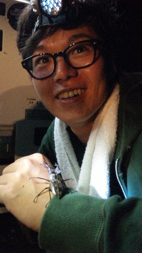 画像