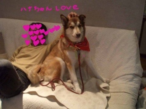 画像