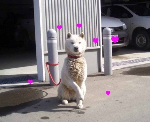 画像
