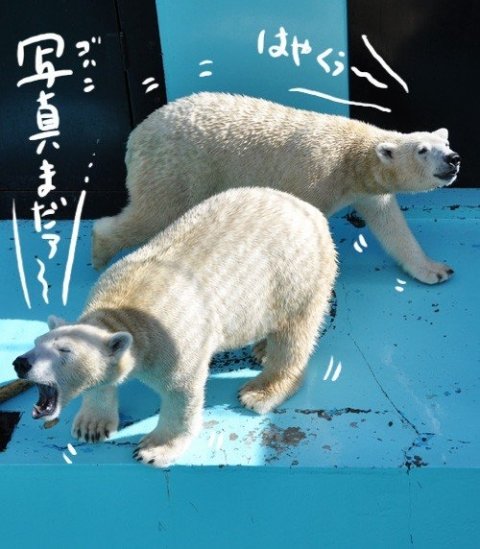 画像