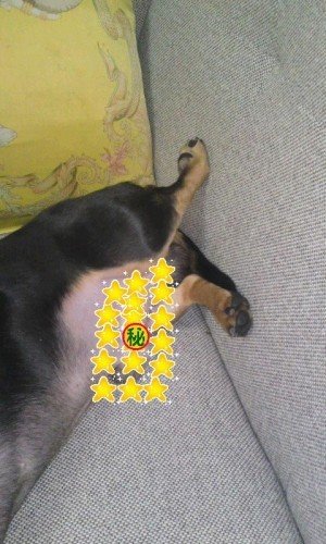 画像