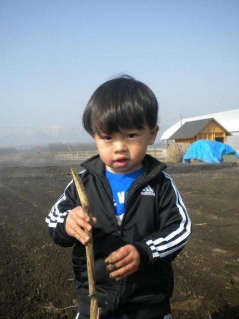 画像