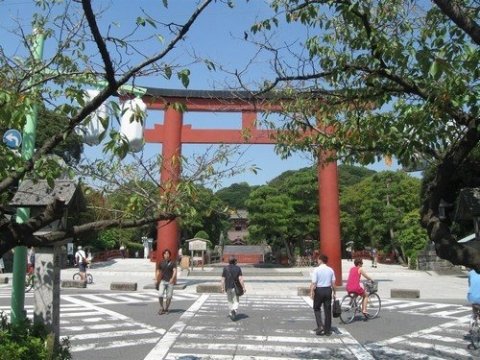 画像