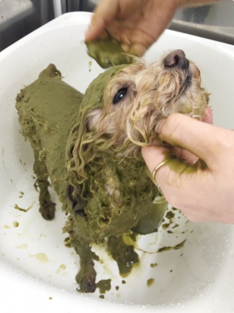 画像