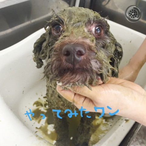 画像