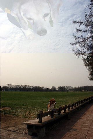 画像