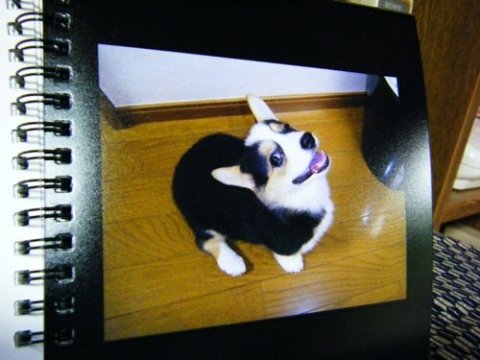 画像
