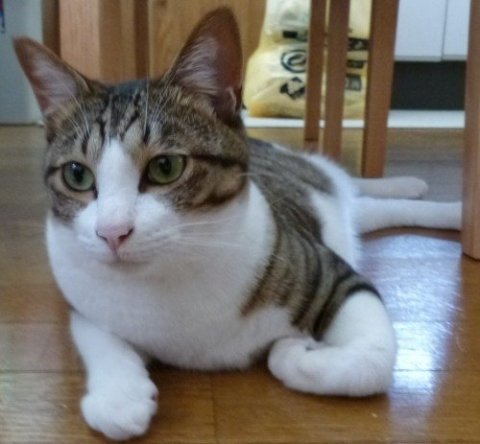 画像