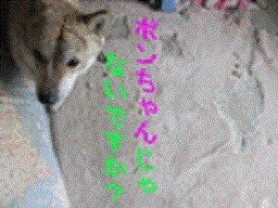画像
