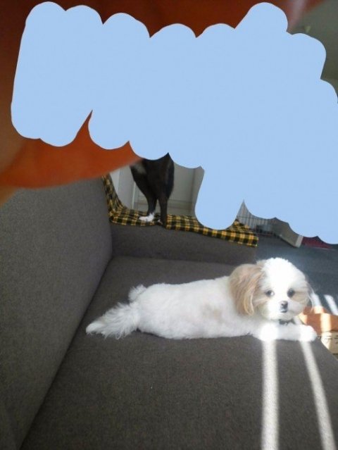 画像