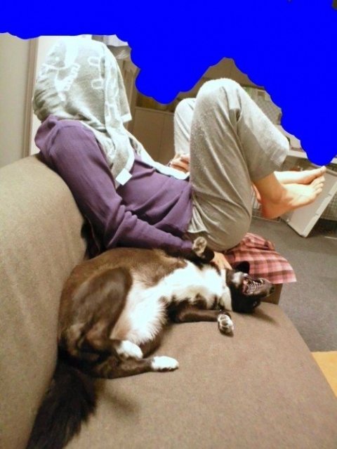 画像