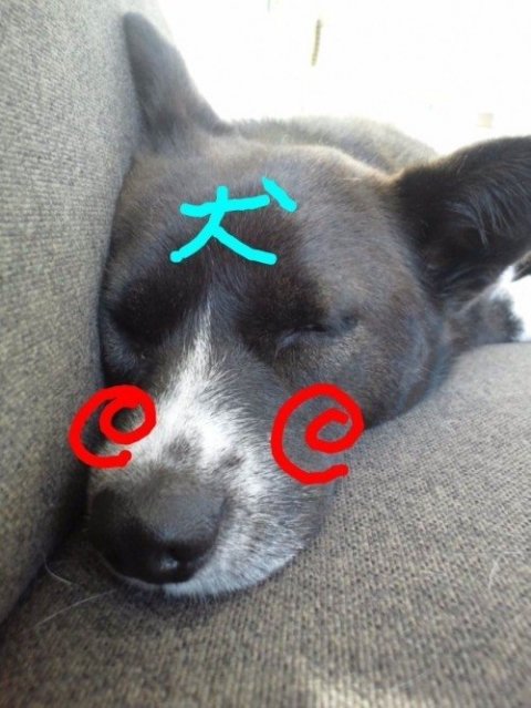画像
