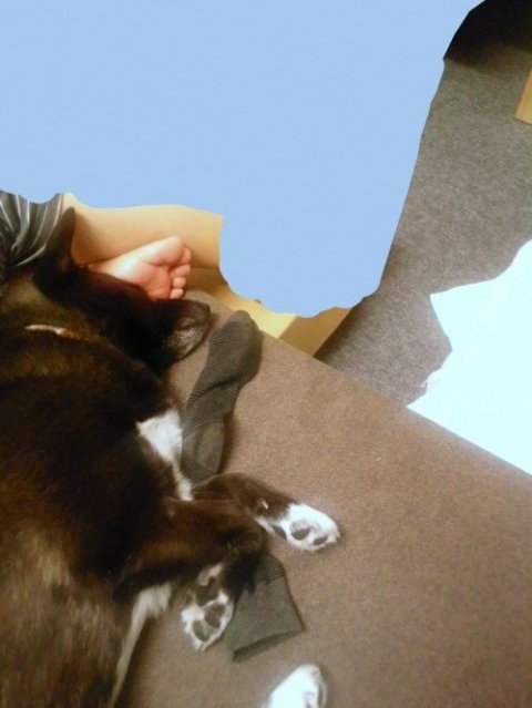 画像