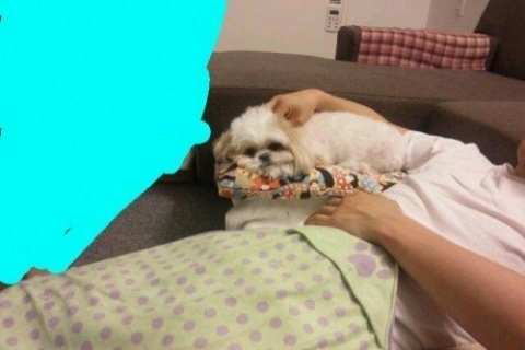 画像