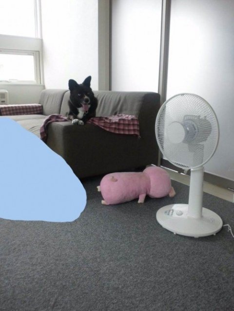 画像