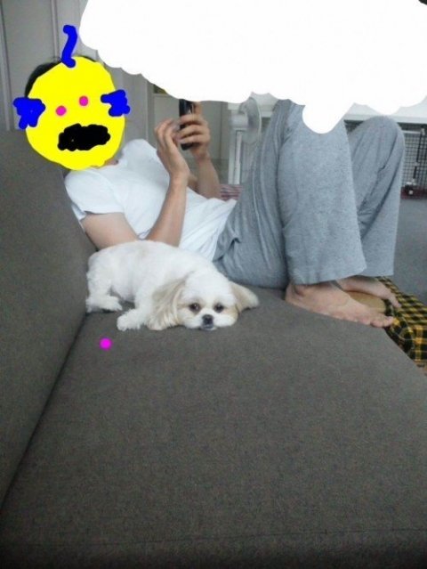 画像