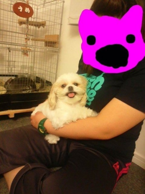 画像
