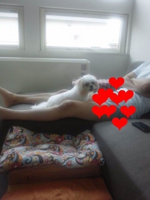 画像