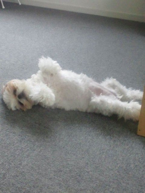 画像