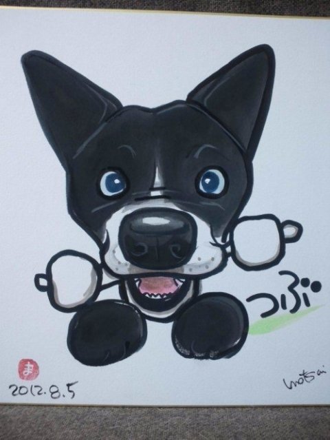 画像