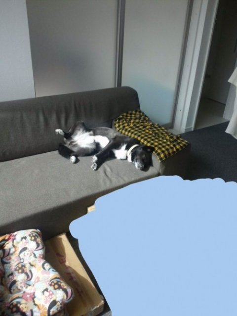 画像