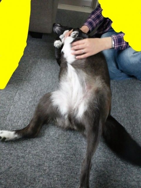 画像