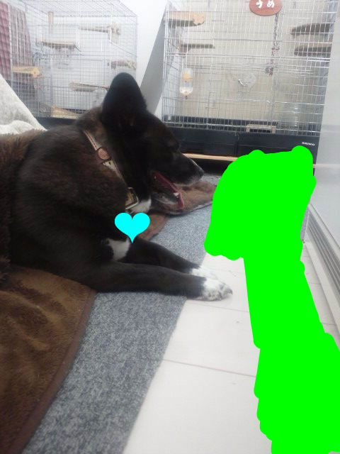 画像