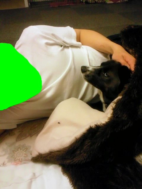 画像