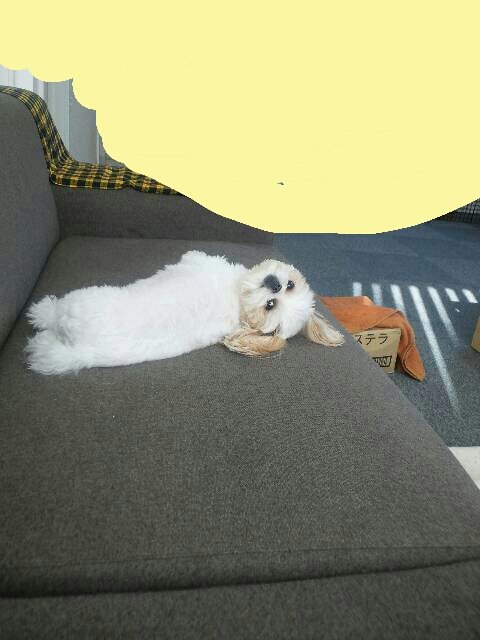 画像