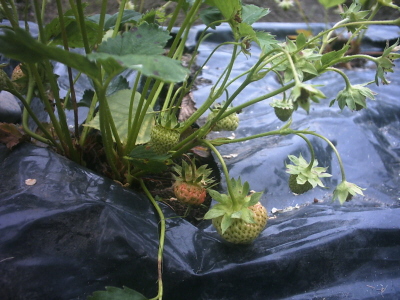 Hな写真を・・・