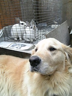 いつも、仲好し！