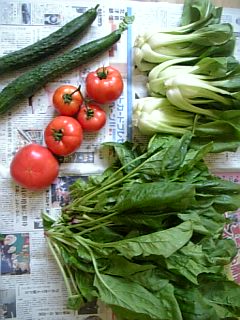 ピィンポォ～～～ン！