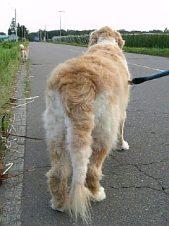 ごきげんだ　ワンッ