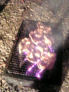 ♪ぶた・ぶた・どん・どん♪ぶた・どん・どん♪