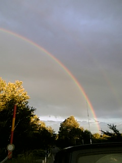 キターーーーーー(*_*)　復活！