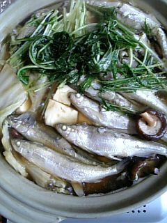 わたしも・・・