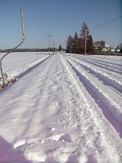 ゆきやこんこん