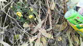 がんばってる！